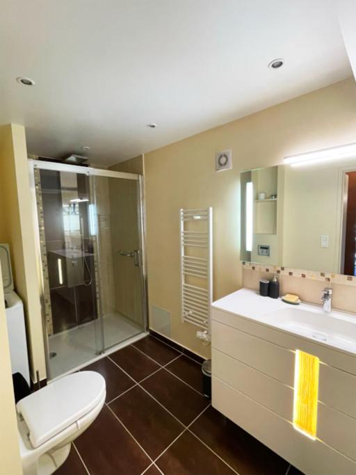 Apartment Merveilleux Duplex Vue Royat